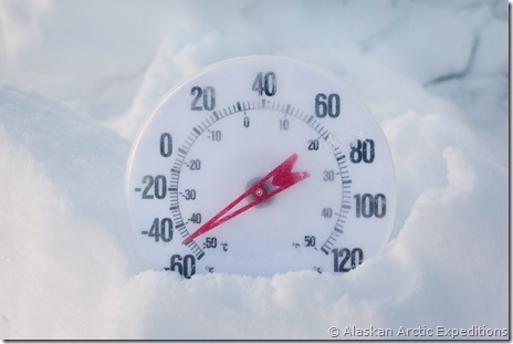 117-large-IMG_0379 117-large-IMG_0379