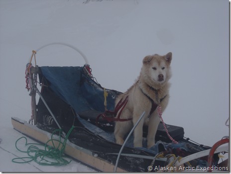 2008_Expedition 184 2008_Expedition 184