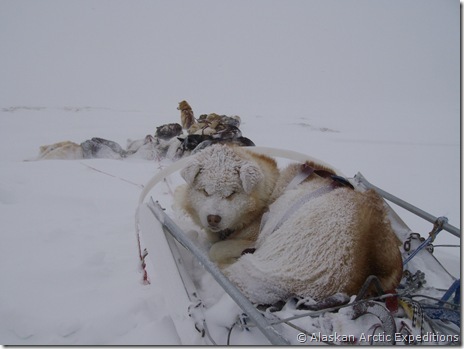 2008_Expedition 781 2008_Expedition 781