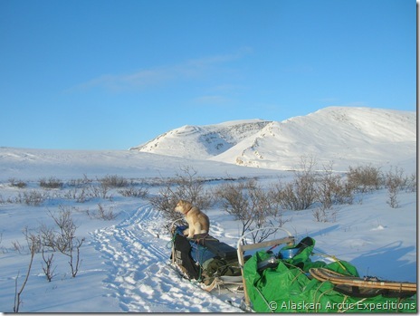 Gil's Pictures Reformatted 303 Gil's Pictures Reformatted 303