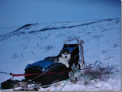 Gil's Pictures Reformatted 330 Gil's Pictures Reformatted 330